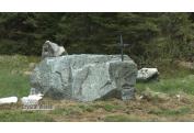 HORSKY CINTOROIN ROHACE ORAVA