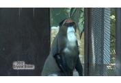 ZOO BRATISLAVA (10)
