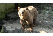 ZOO BRATISLAVA (2)