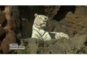 ZOO BRATISLAVA (3)