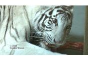 ZOO BRATISLAVA (4)