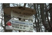 TRAJA JAZDCI