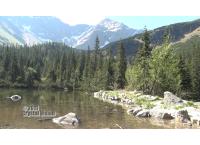 Ťatliakovo pleso (Roháče)